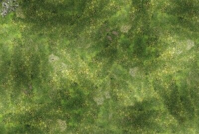 Battlemat Plaine Herbe - Fields