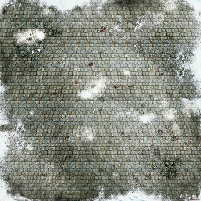 Battlemat Dallage Donjon (dalles 25 mm) - Winter is coming Battlemat Dallage Donjon (dalles 25 mm) - Winter is coming