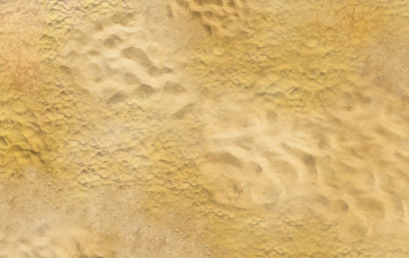 Battlemat Desert 2