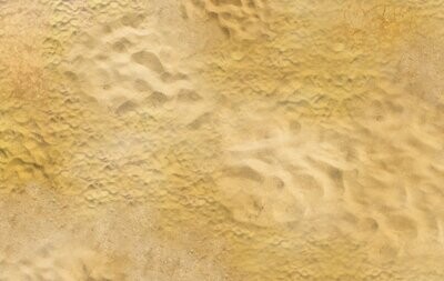 Battlemat Desert 2