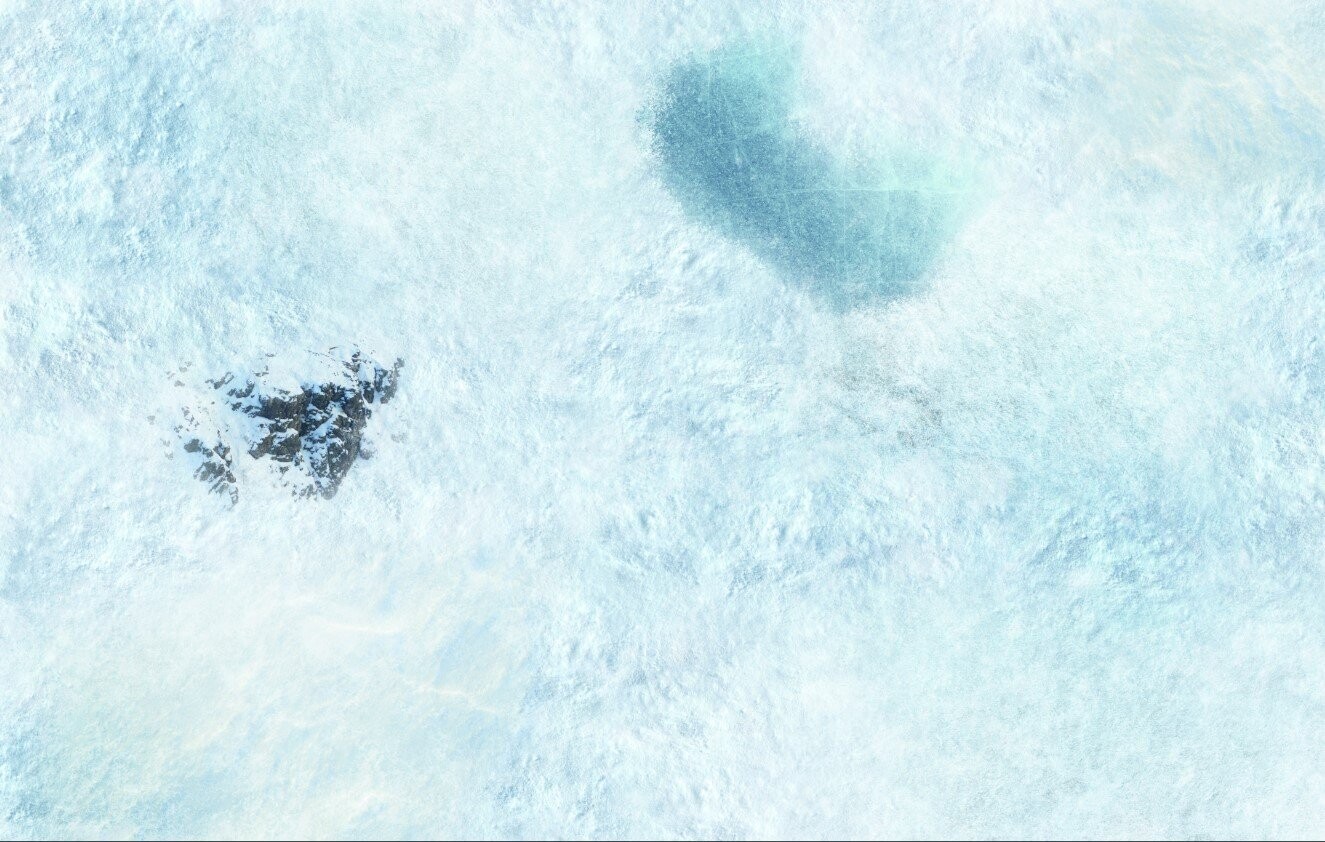 Battlemat Plaine neige 2