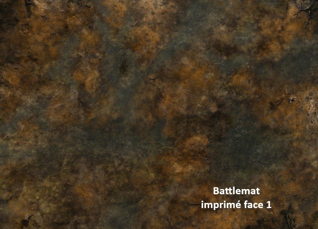 Battlemat 2 SIDES / Double-Sided Custom