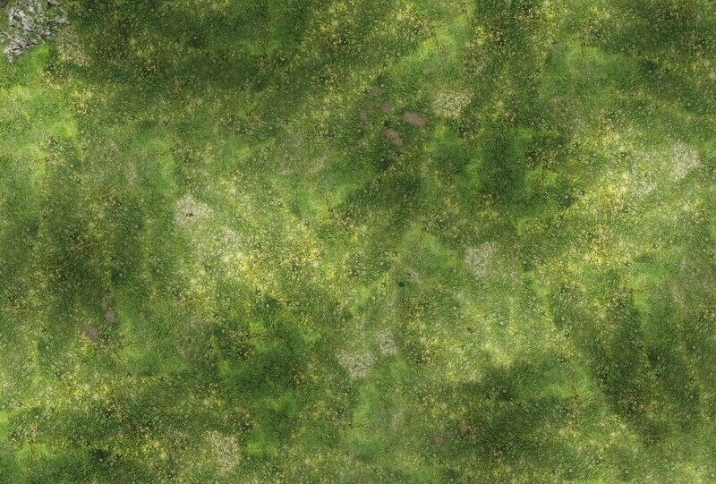 Battlemat Plaine Herbe - Fields 4'/3'' en Néoprène
