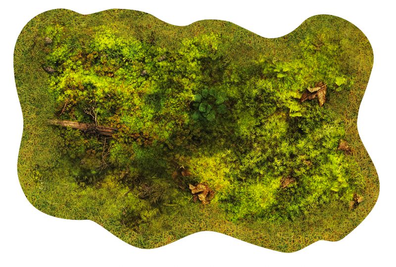 Zone de Forêt 6"/4" - Lothern - Grass & Cobbles