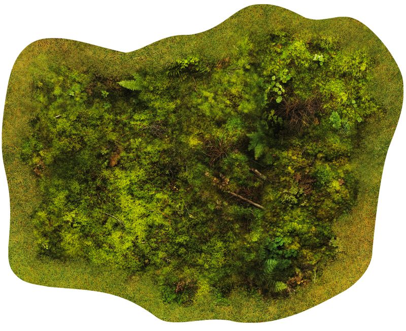 Zone de Forêt 8"/10" - Lothern - Grass & Cobbles