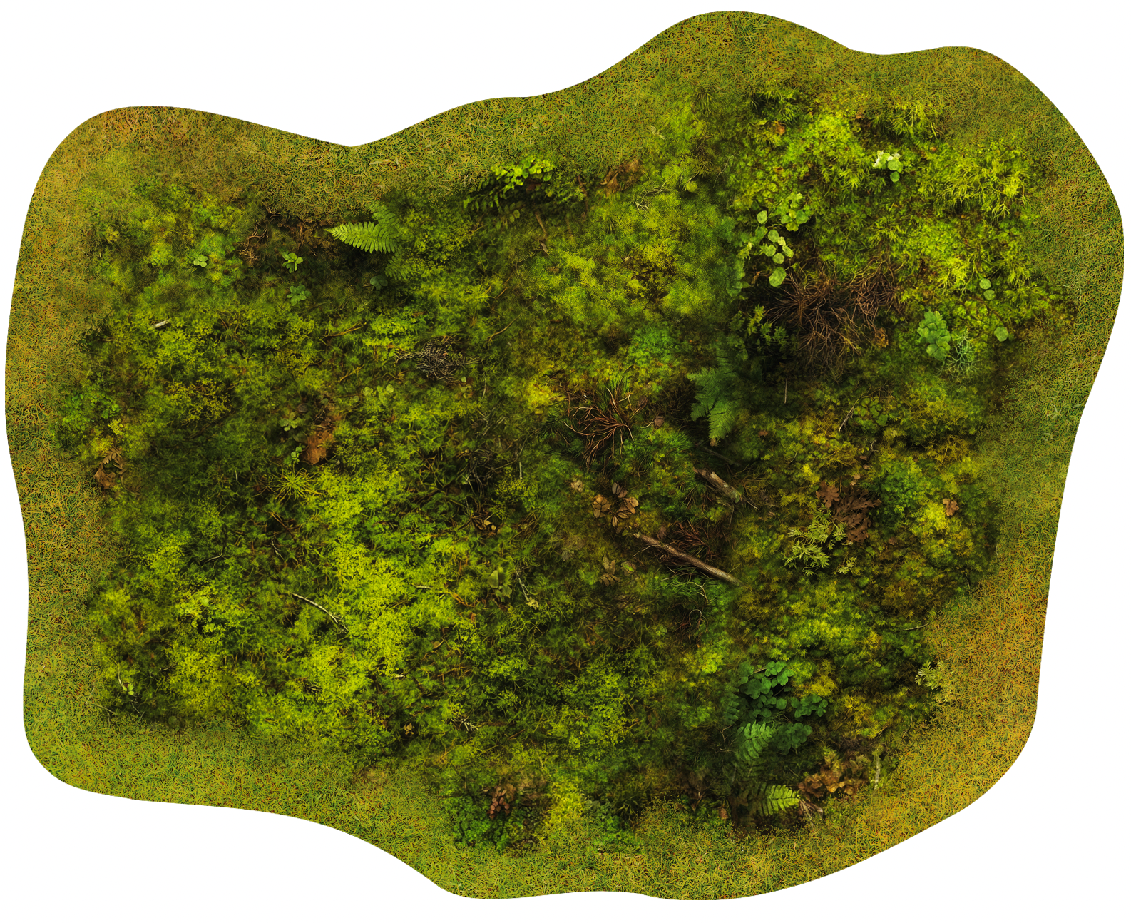 Kit Zone de Forêt 1x 6