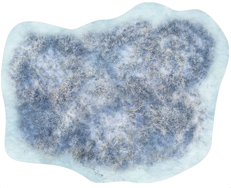 Zone de Forêt 6"/4" - Ice Mountain