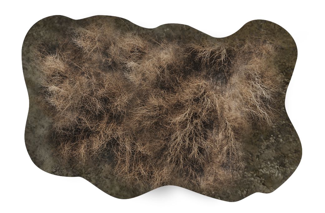 Kit Zone de "Forêt" 1x 6"/4"' + 1x 8"/10" - Desolation