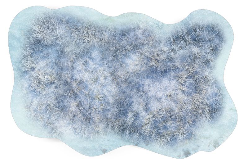 Kit Zone de "Forêt" 1x 6"/4" + 1x 8"/10"- Ice Mountain