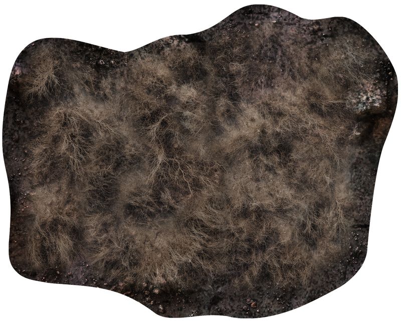 Kit Zone de "Forêt" 1x 6"/4" + 1x 8"/10" - Démoniaque