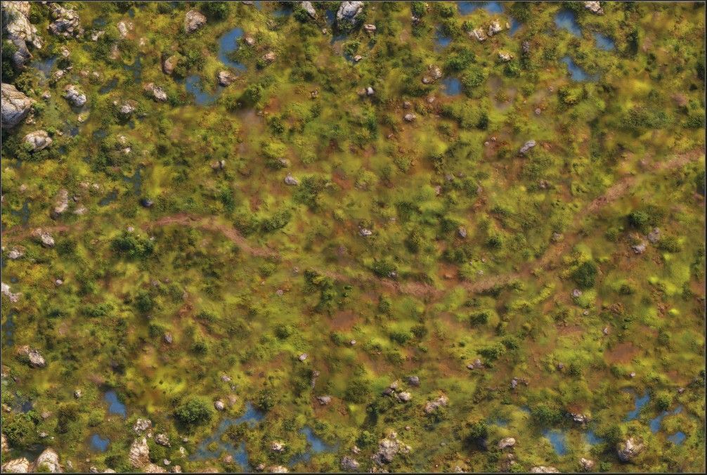 Battlemat Celtik Landes