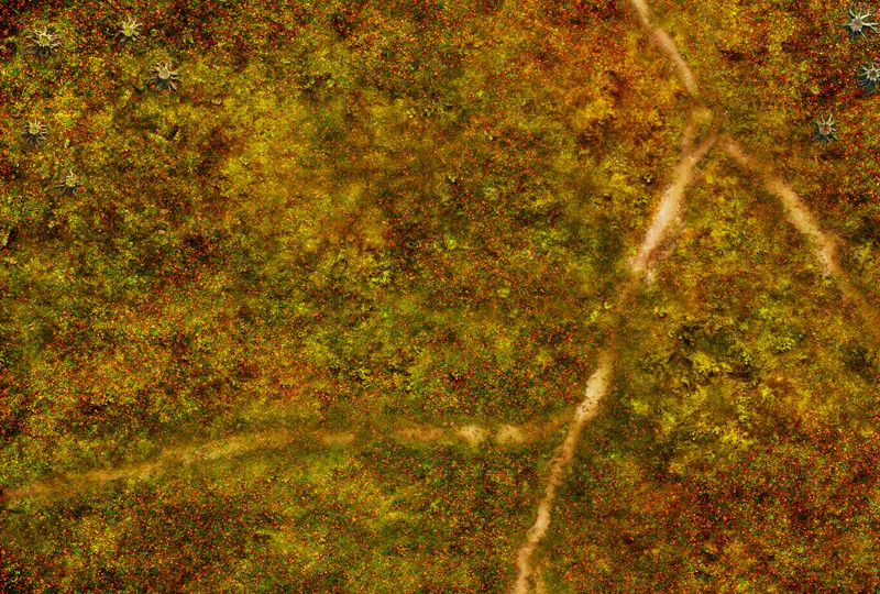 Battlemat Forêt Sylvestre
