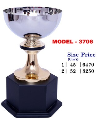 Trophy - 3706