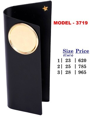 Trophy - 3719