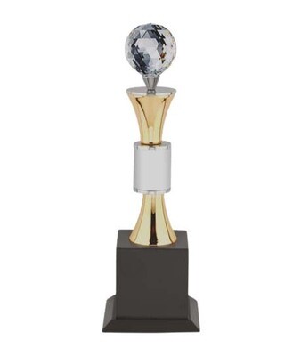 Customized Crystal Trophy
