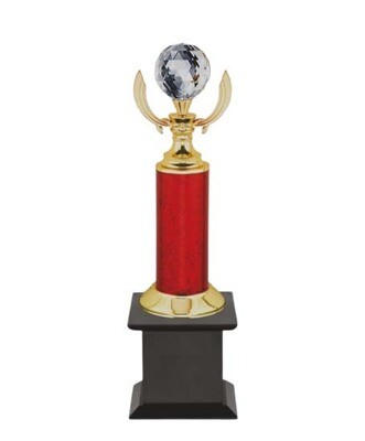 Best performer Trophy