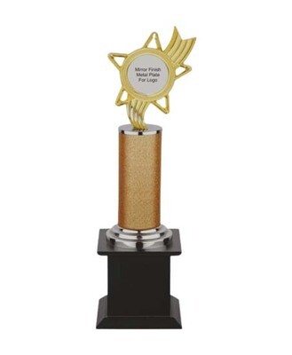 Unique Design Trophy