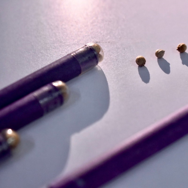Seed Pencil