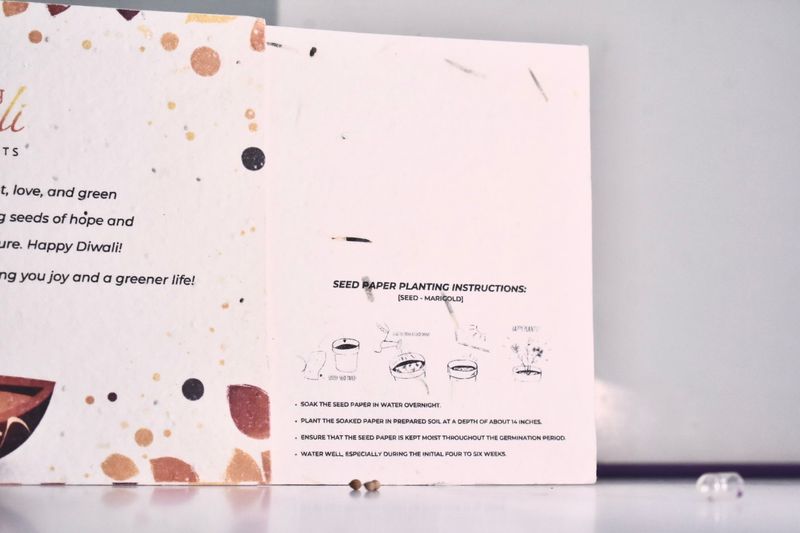 Plantable Seed Cards