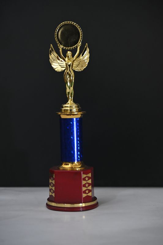 Customized Premium Trophies