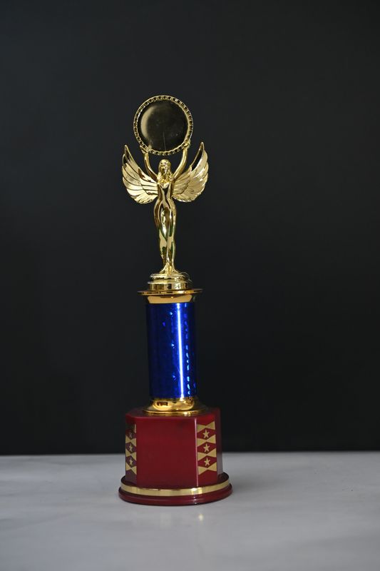 Customized Premium Trophies