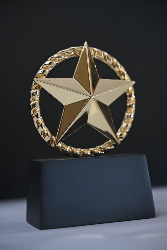 Star Award – Premium Recognition Trophy