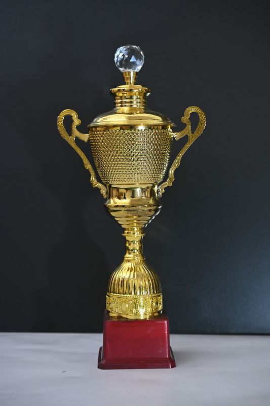 Customized Trophies