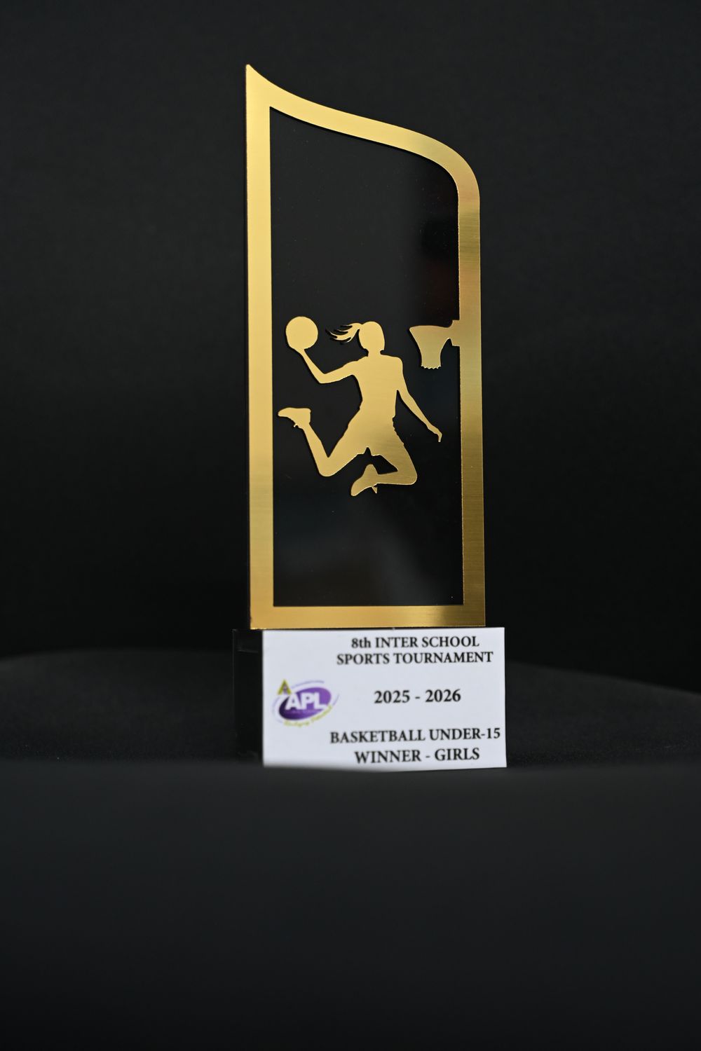 Premium Basketball Championship Trophy – Customized Sports Tournament Award