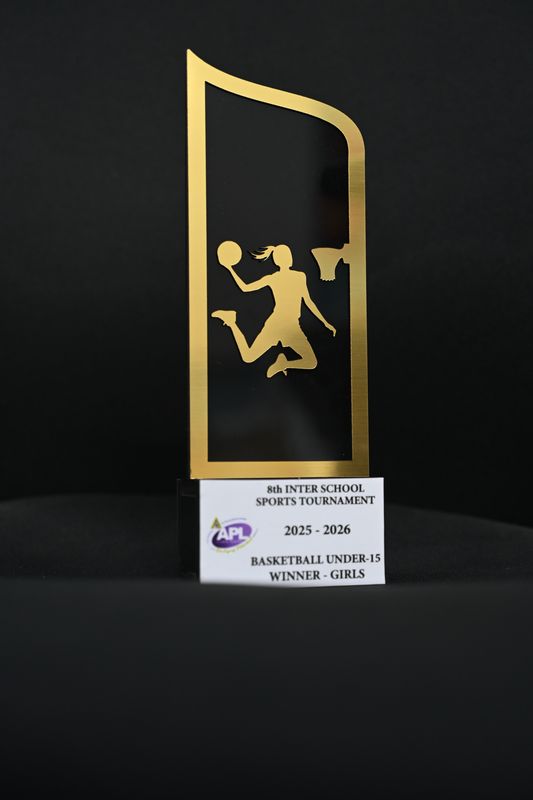 Premium Basketball Championship Trophy – Customized Sports Tournament Award