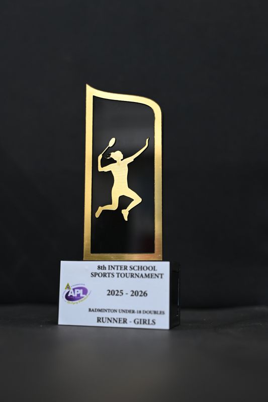 Premium Basketball Championship Trophy – Customized Sports Tournament Award