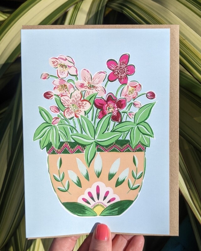 Hellebore 