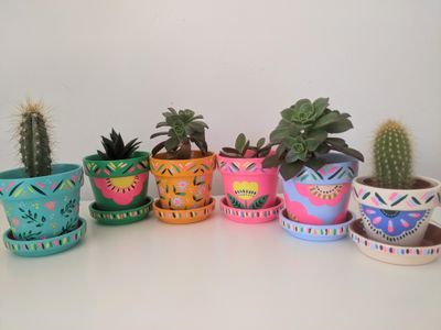  Succulent/cacti pot painting workshop - Friday the 21st of June 7.30pm at Wonderment in Woburn Sands 