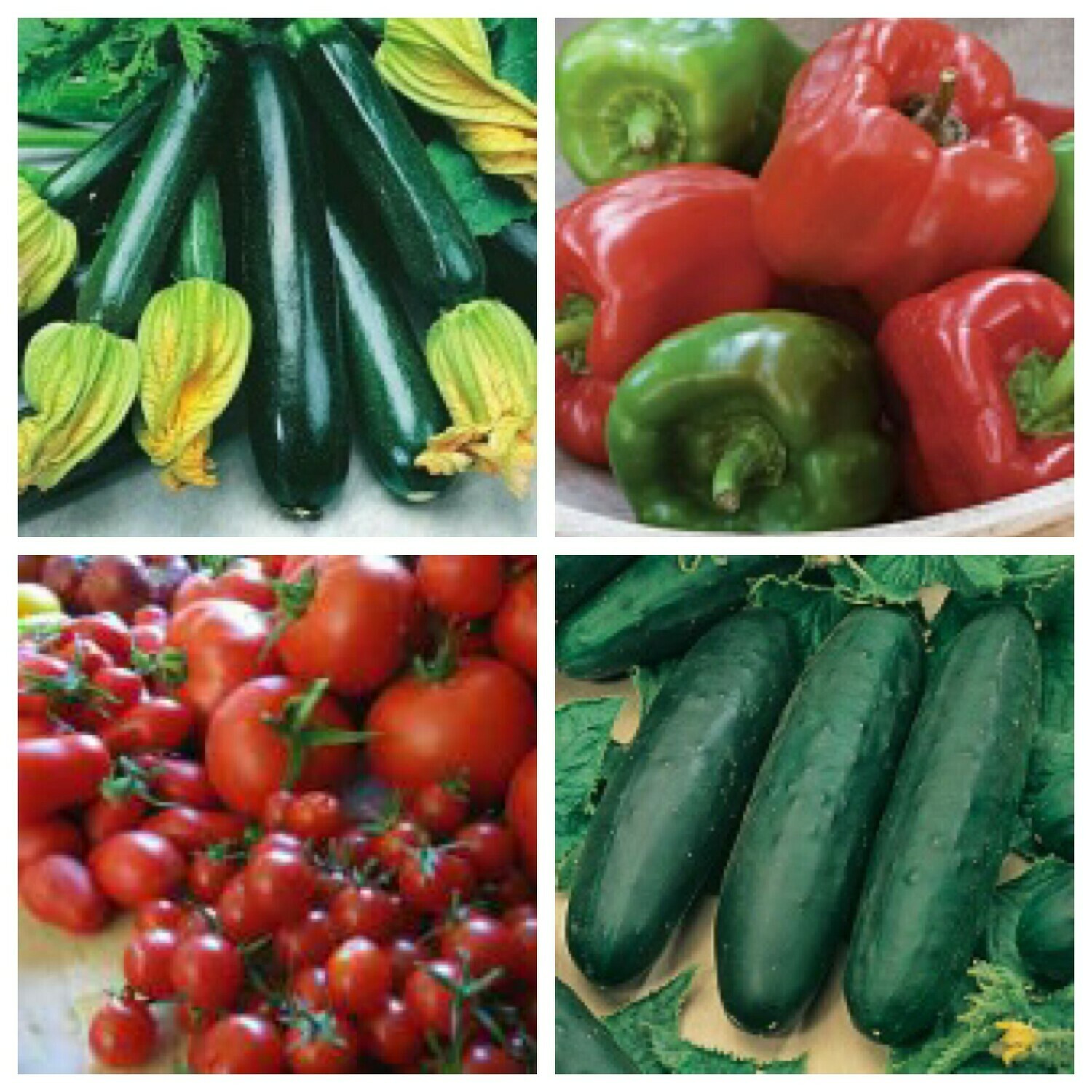 Organic Garden Bounty Sampler--Full Flat Organic Garden Bounty Sampler--Full Flat