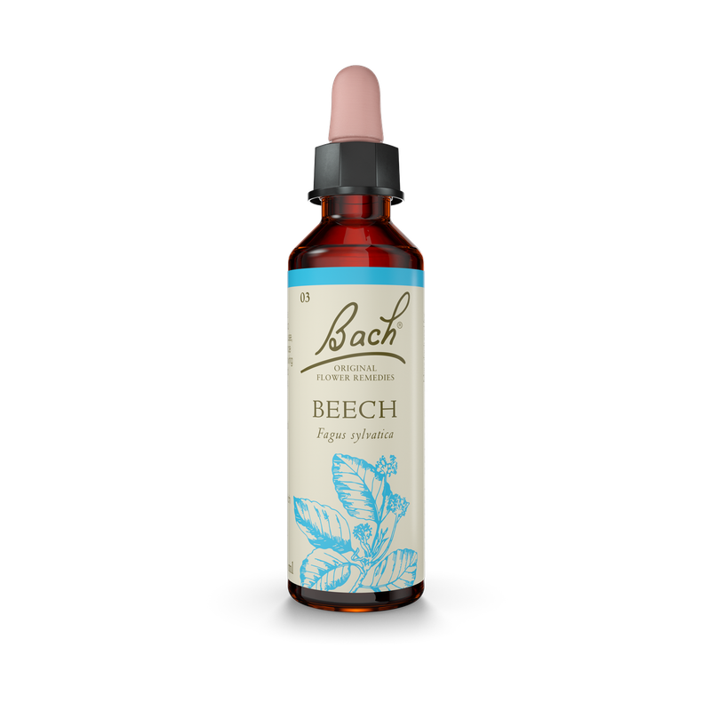 Bach® Beech