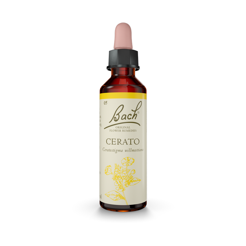 Bach® Cerato