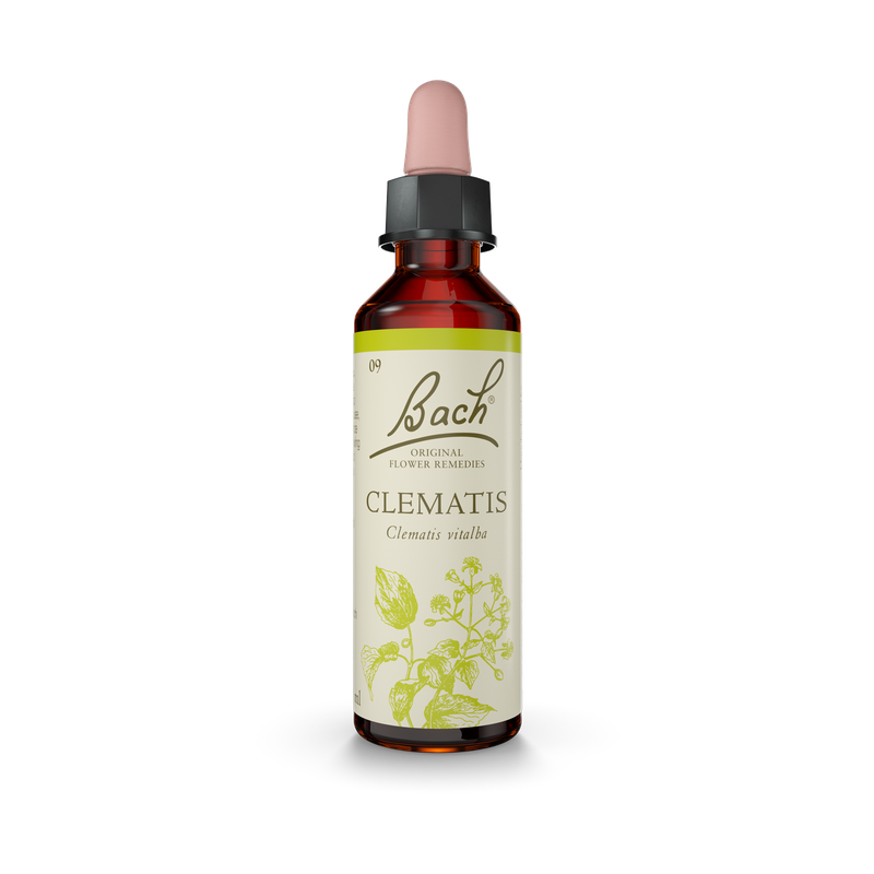 Bach® Clematis