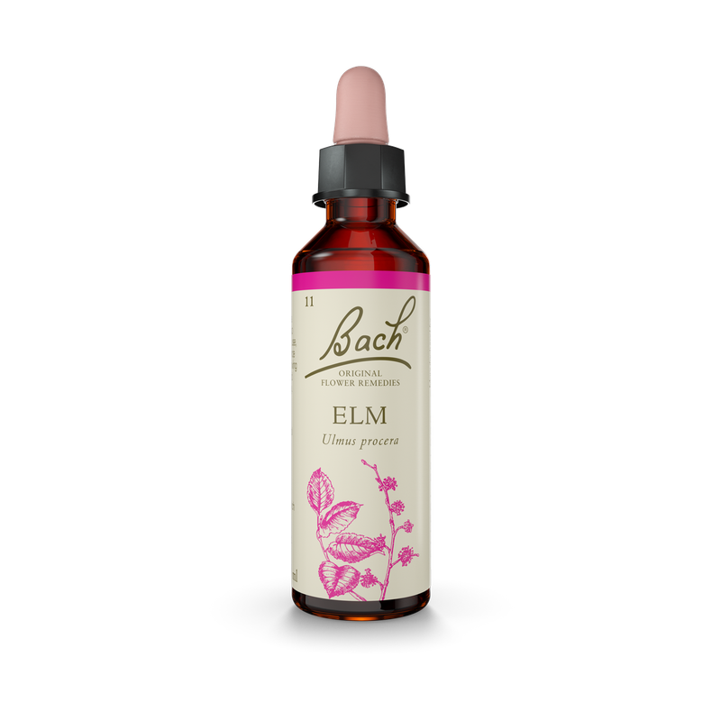 Bach® Elm