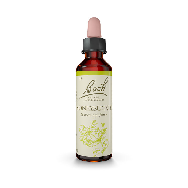 Bach® Honeysuckle