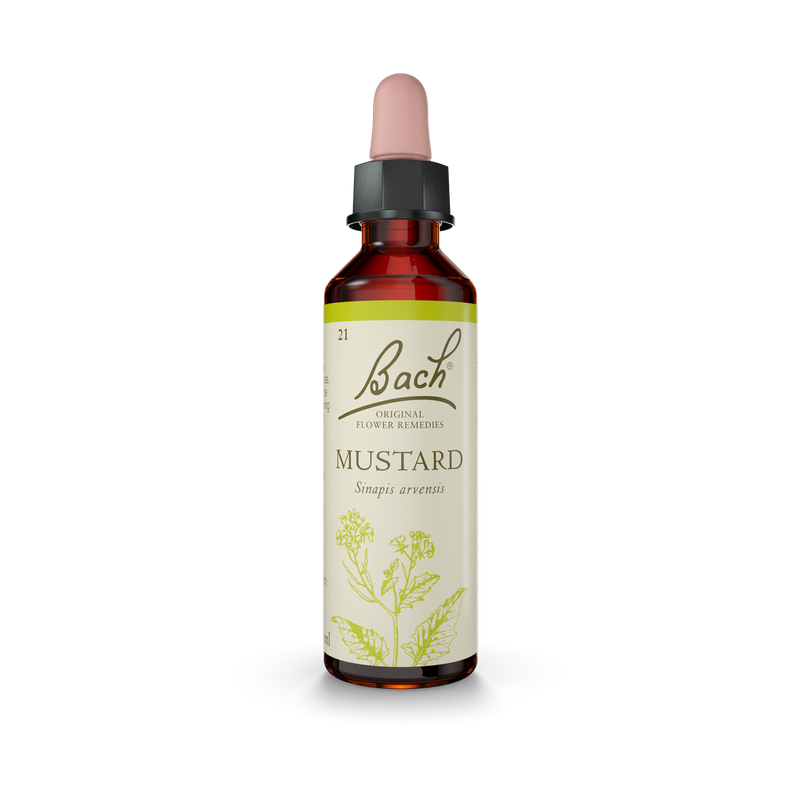 Bach® Mustard
