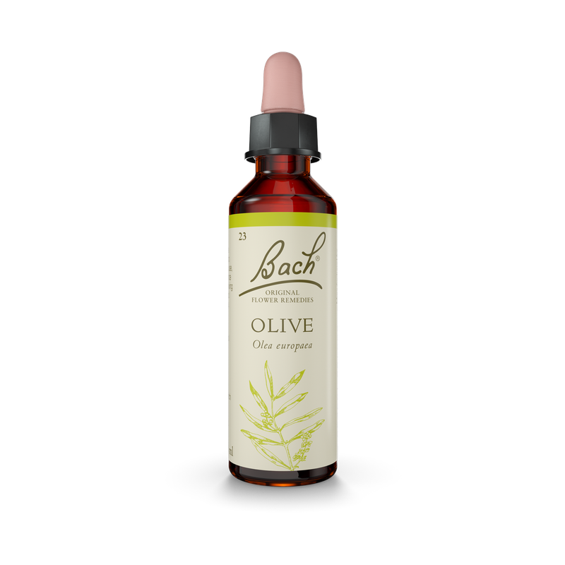 Bach® Olive
