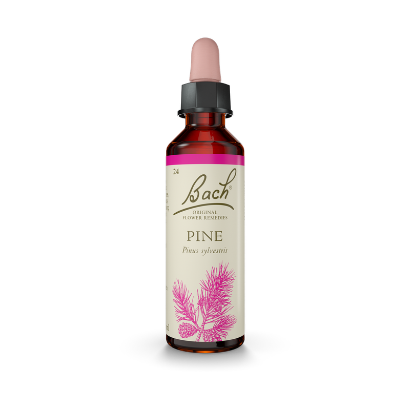 Bach® Pine