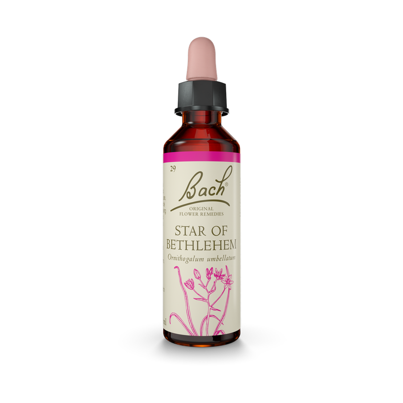 Bach® Star Of Bethlehem