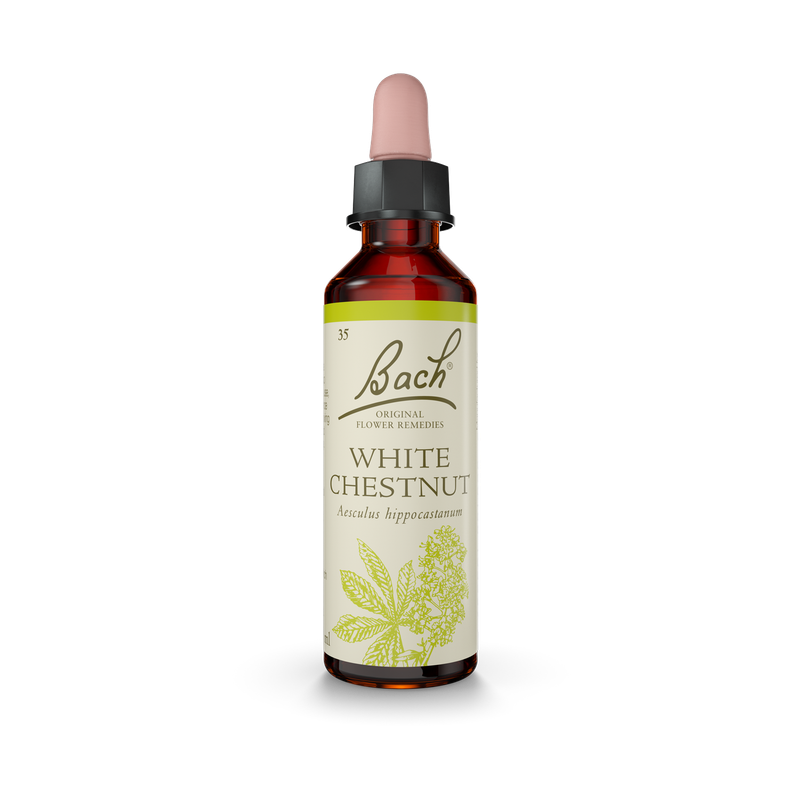 Bach® White Chestnut