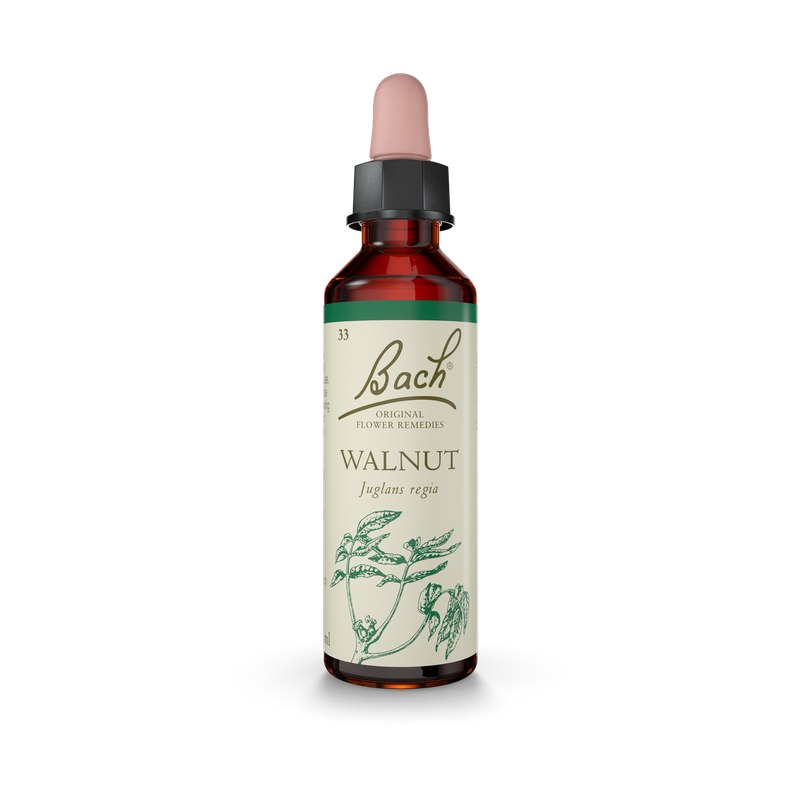Bach® Walnut