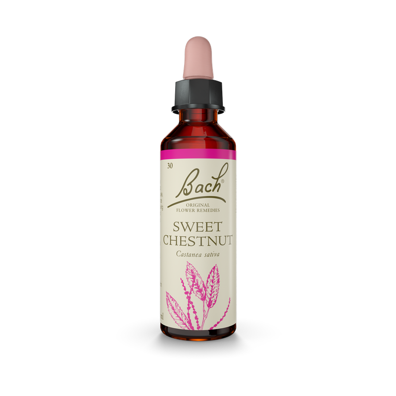 Bach® Sweet Chestnut