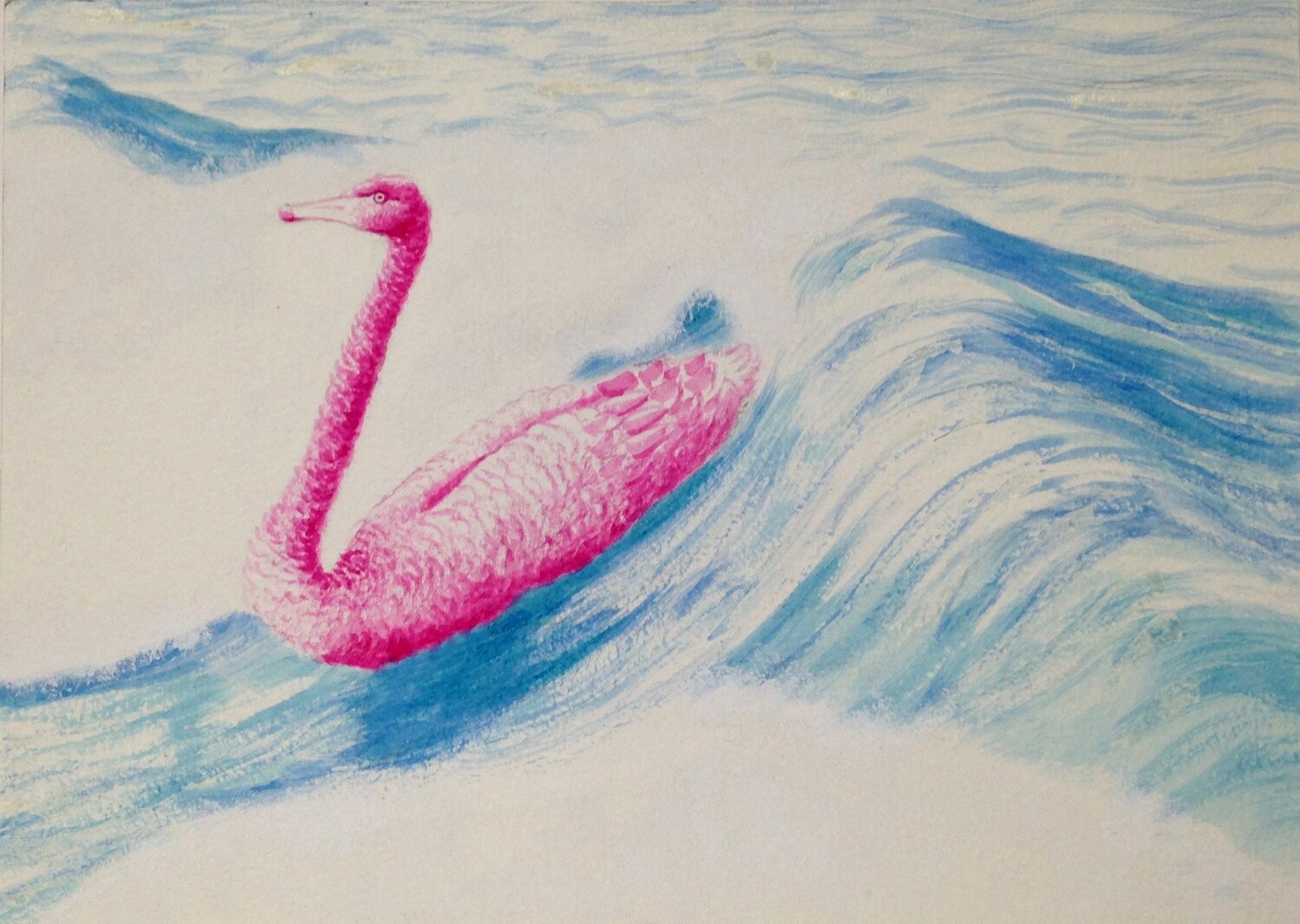 'Tickled Pink Body Surf' from the watercolour series: 'Pink Swan Event'. 'Tickled Pink Body Surf' from the watercolour series: 'Pink Swan Event'.