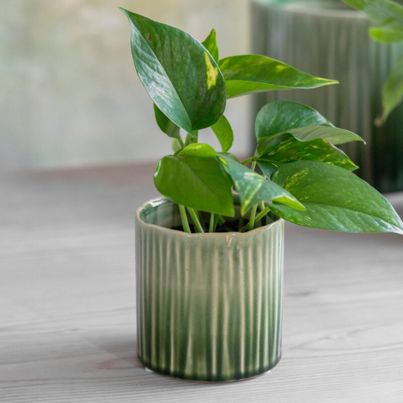 Garden Trading Nettleton Plant Pot