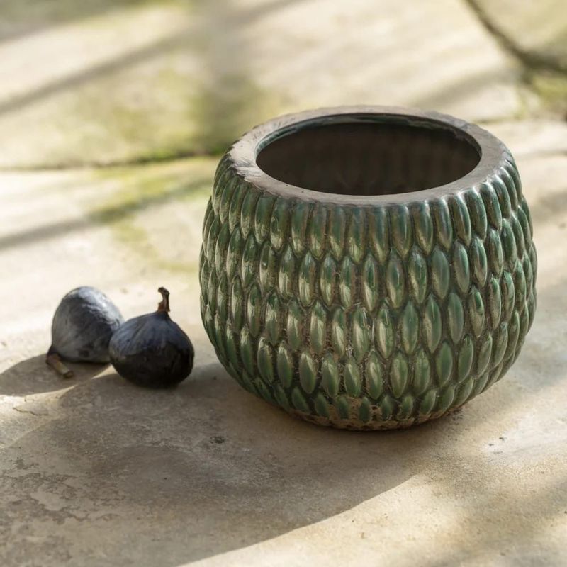 Grand Illusions Armadillo Planter