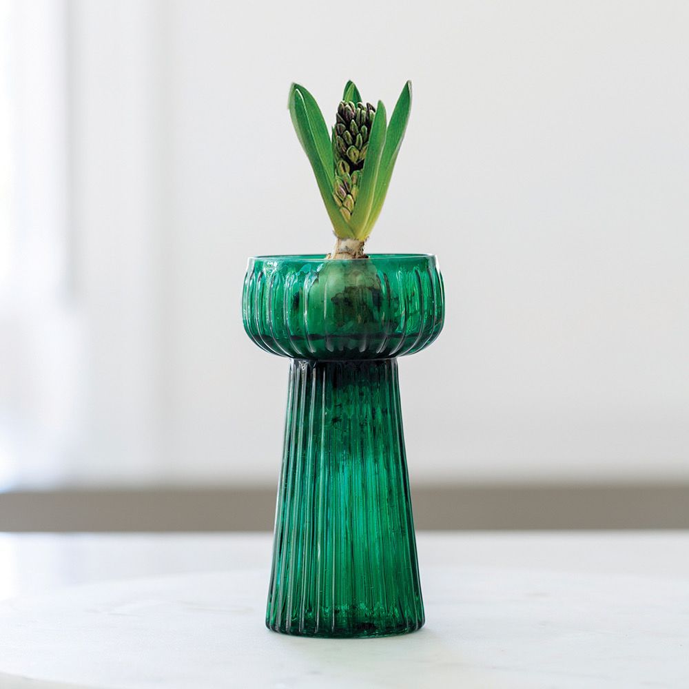 Grand Illusions Green Hyacinth Vase