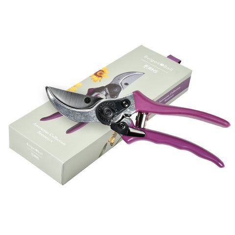 Burgon & Ball RHS Asteraceae Secateurs